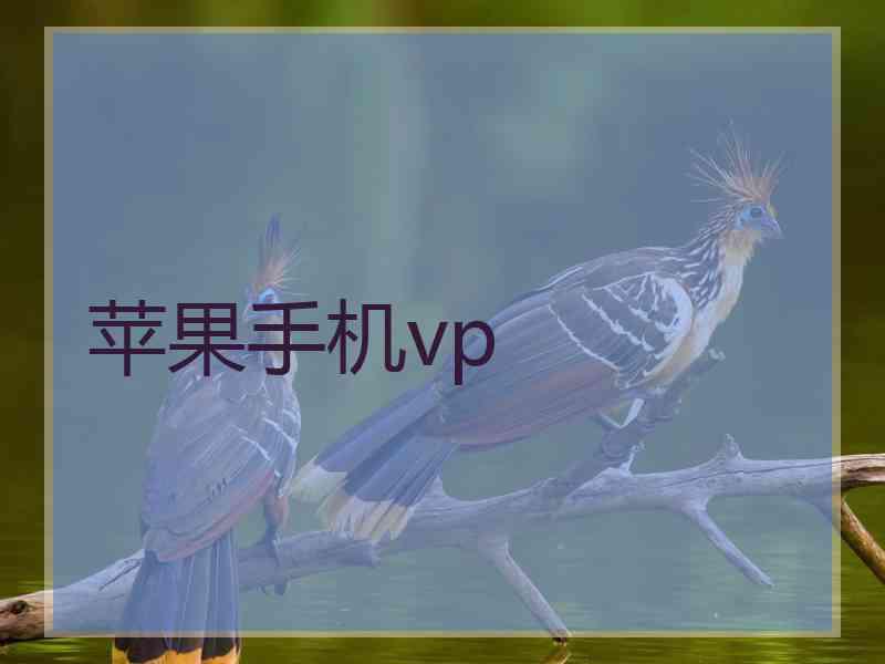 苹果手机vp