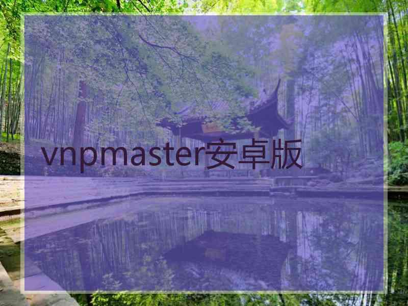 vnpmaster安卓版