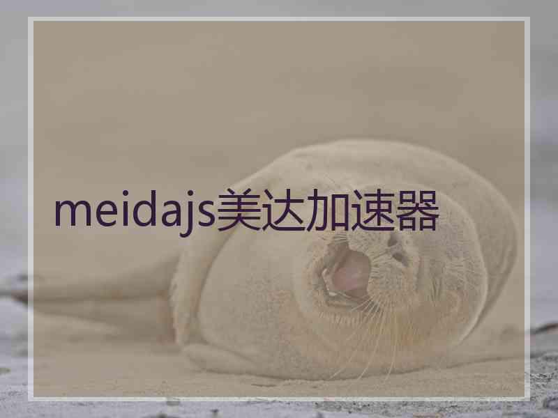 meidajs美达加速器