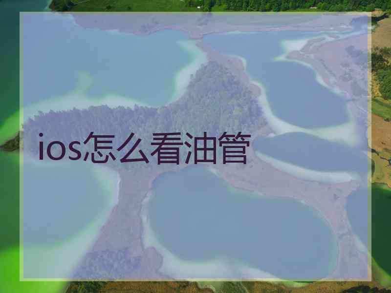 ios怎么看油管