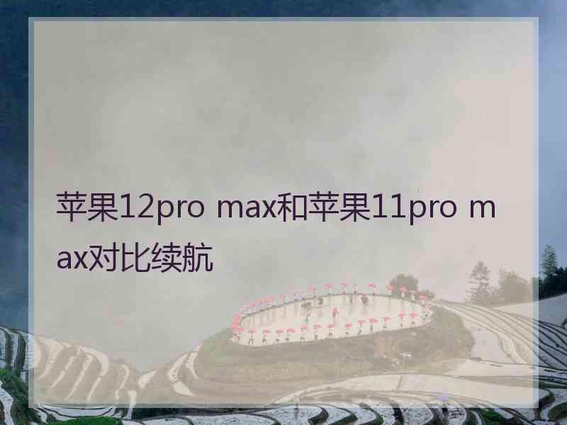 苹果12pro max和苹果11pro max对比续航