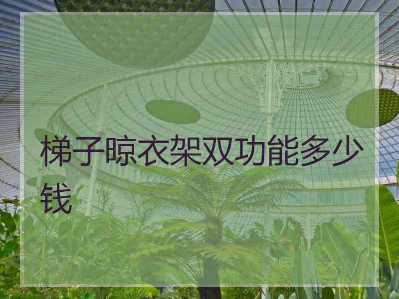 梯子晾衣架双功能多少钱