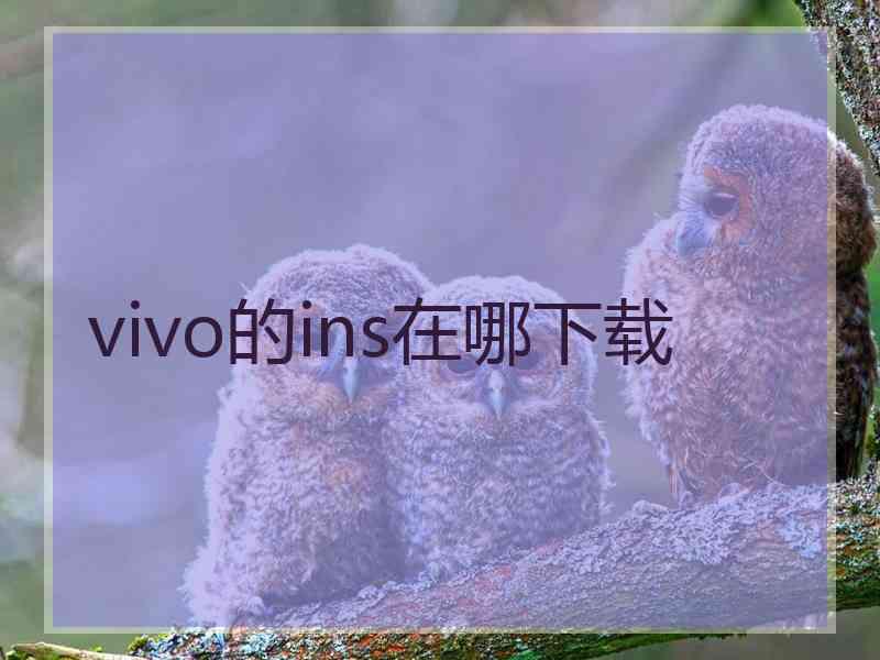 vivo的ins在哪下载