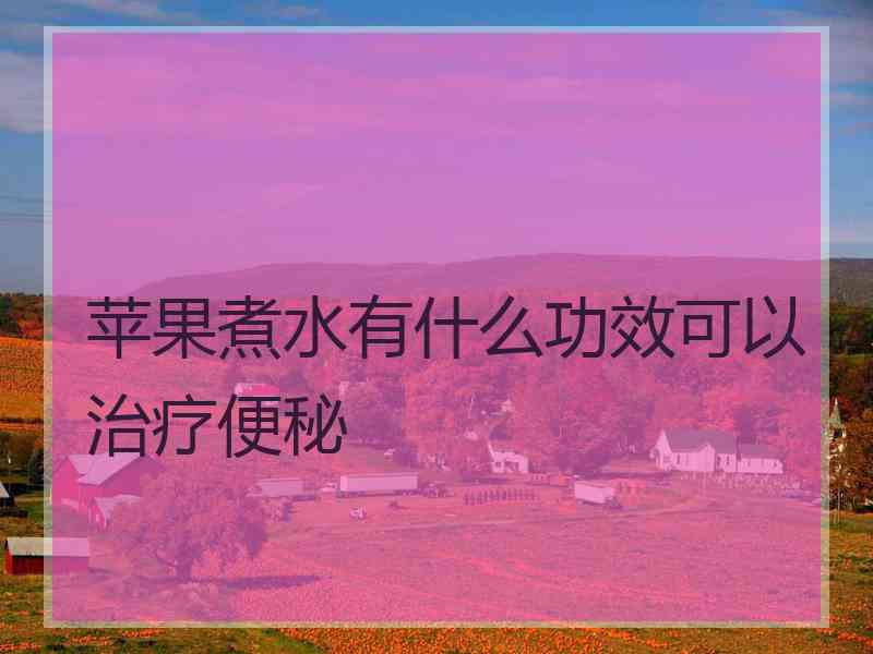 苹果煮水有什么功效可以治疗便秘