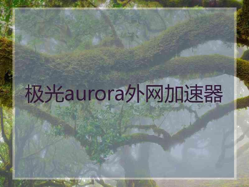 极光aurora外网加速器