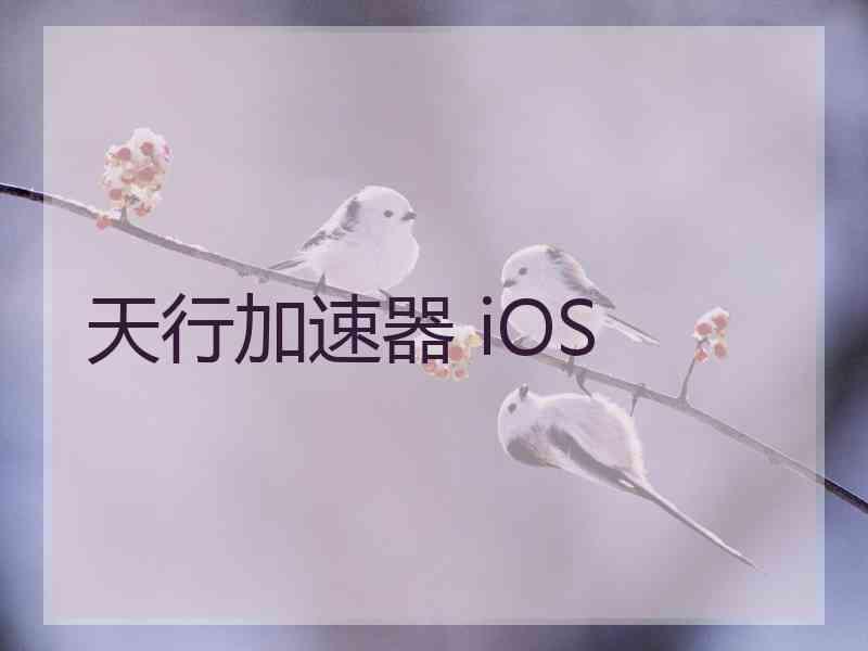 天行加速器 iOS