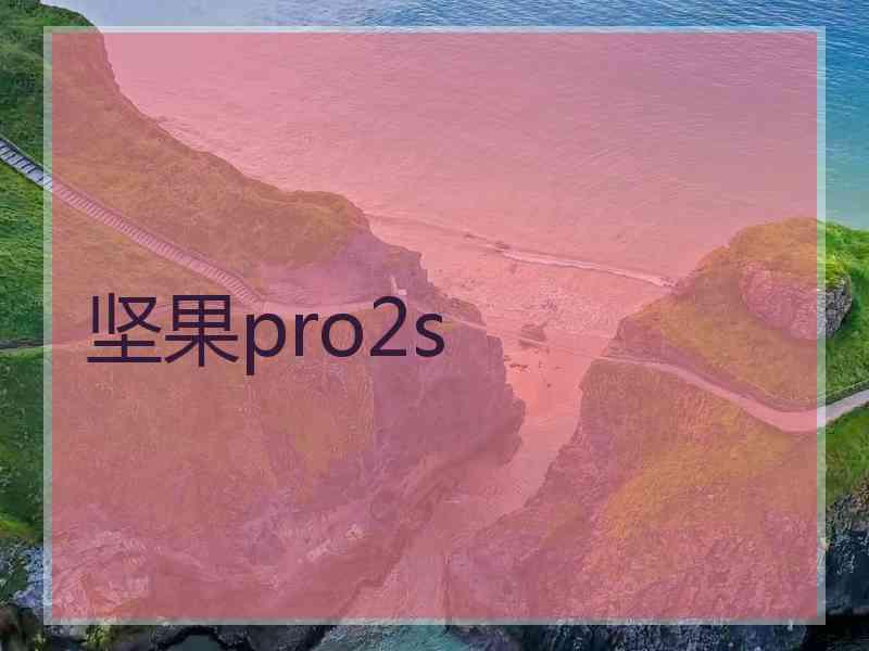 坚果pro2s