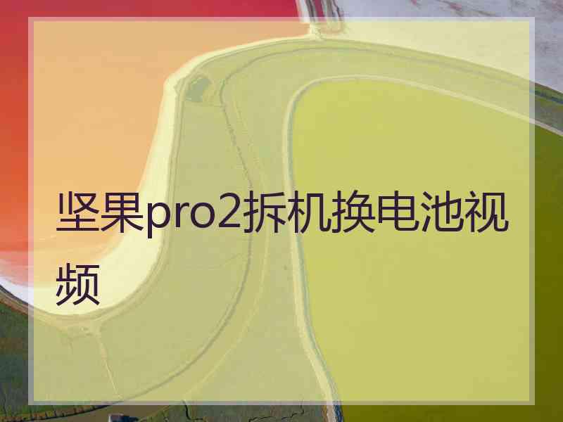 坚果pro2拆机换电池视频