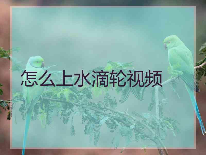 怎么上水滴轮视频