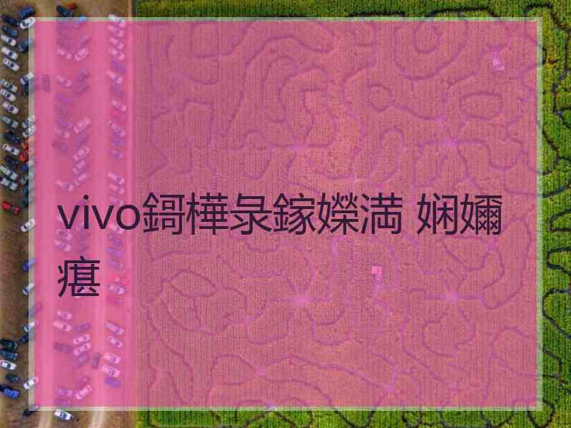 vivo鎶樺彔鎵嬫満 娴嬭瘎