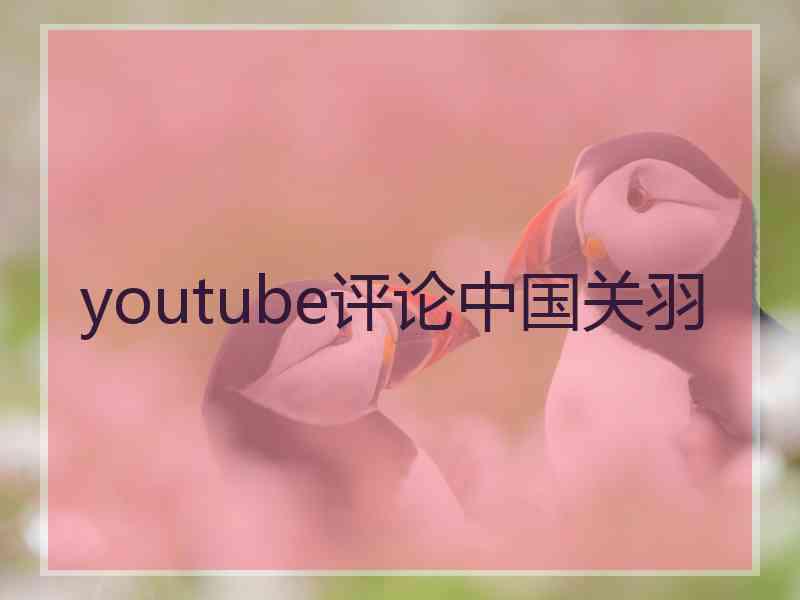 youtube评论中国关羽