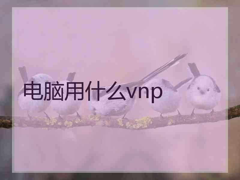 电脑用什么vnp