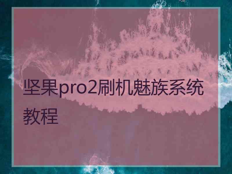 坚果pro2刷机魅族系统教程