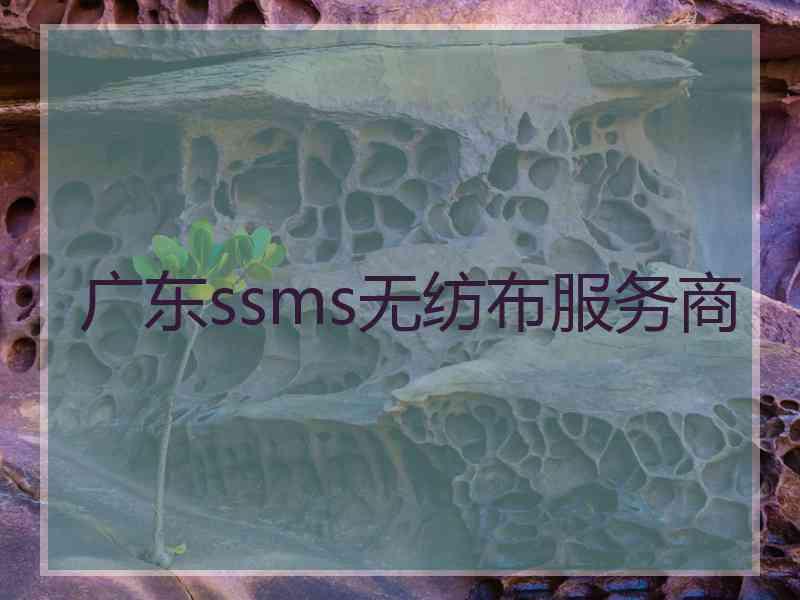 广东ssms无纺布服务商