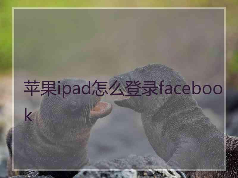 苹果ipad怎么登录facebook