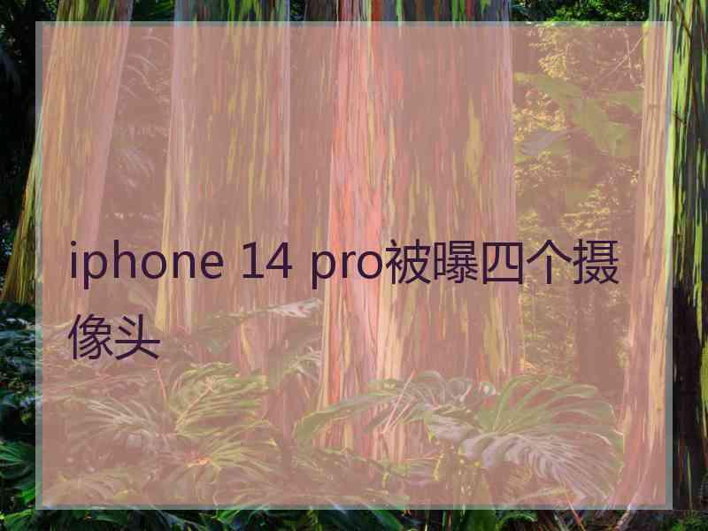 iphone 14 pro被曝四个摄像头