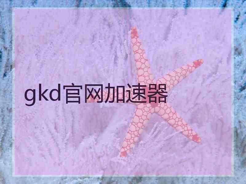 gkd官网加速器