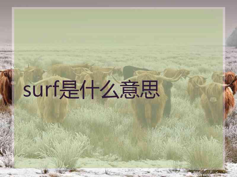 surf是什么意思