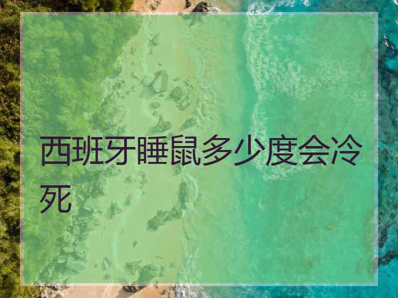 西班牙睡鼠多少度会冷死