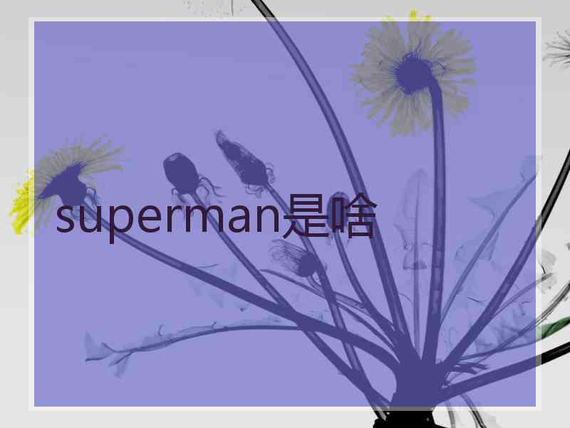 superman是啥