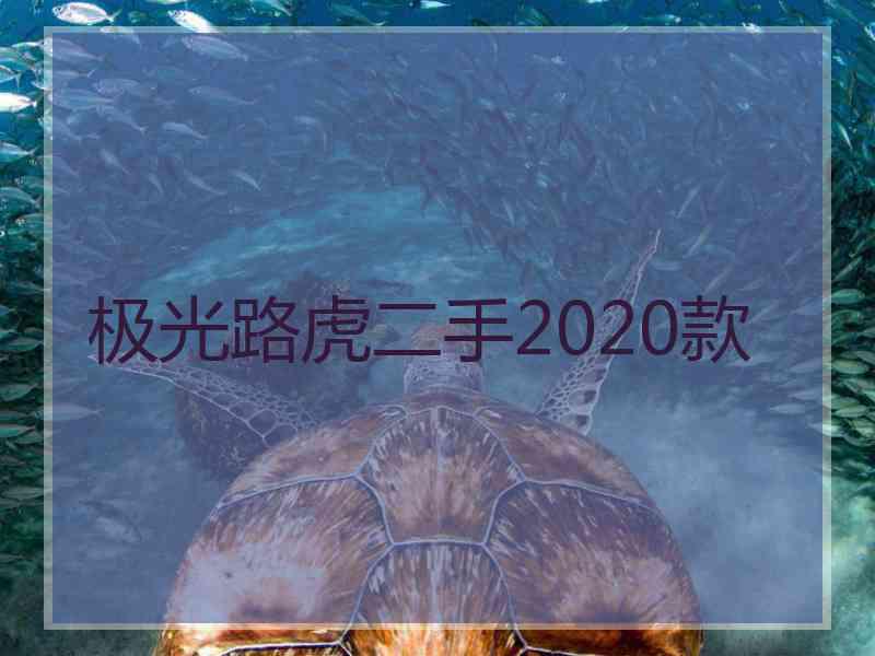 极光路虎二手2020款