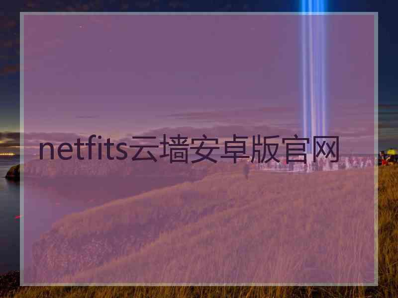 netfits云墙安卓版官网