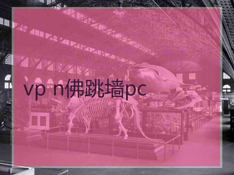 vp n佛跳墙pc