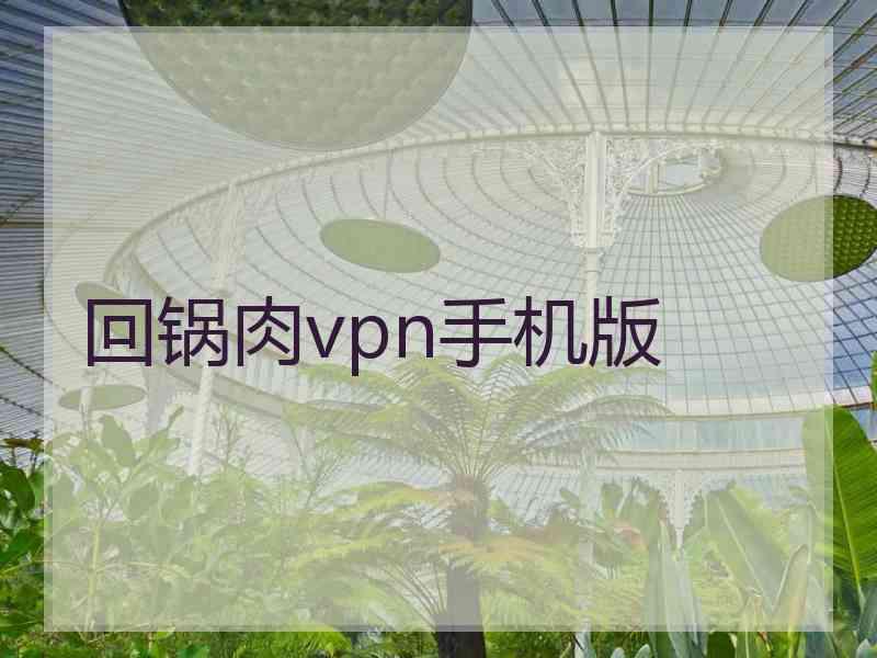 回锅肉vpn手机版