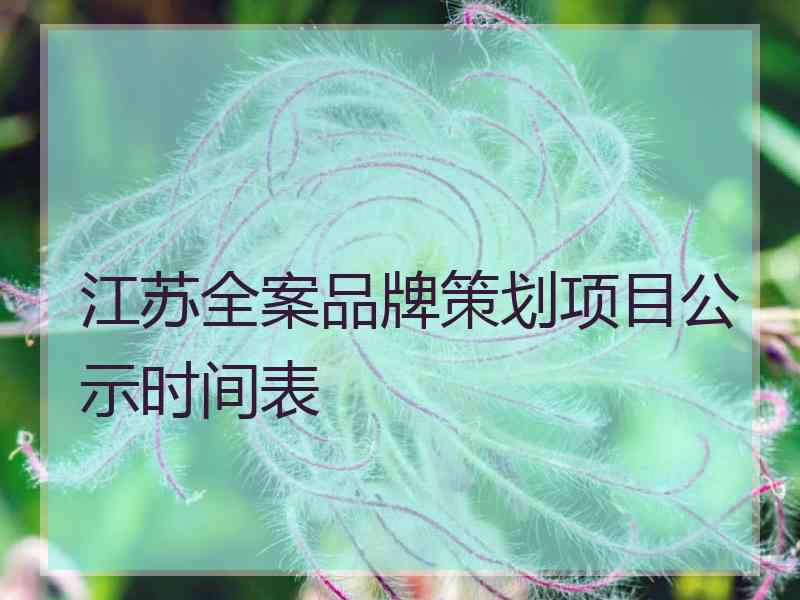 江苏全案品牌策划项目公示时间表