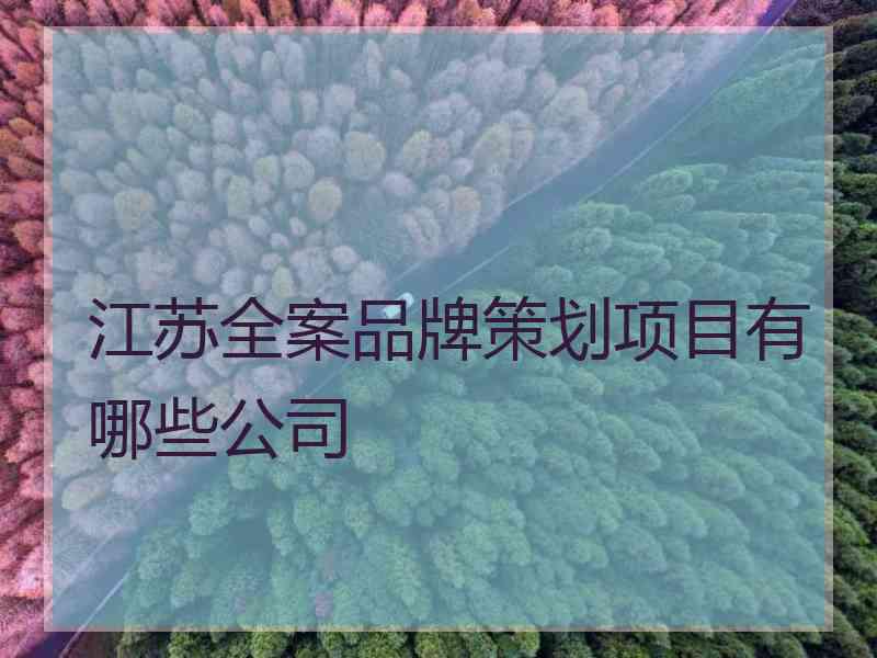 江苏全案品牌策划项目有哪些公司