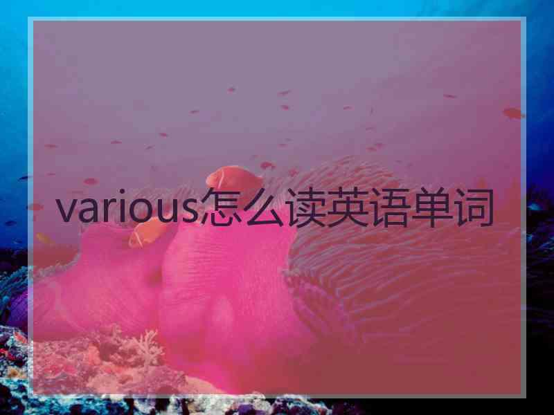 various怎么读英语单词