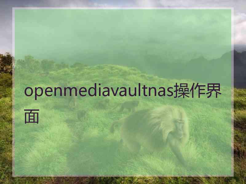 openmediavaultnas操作界面