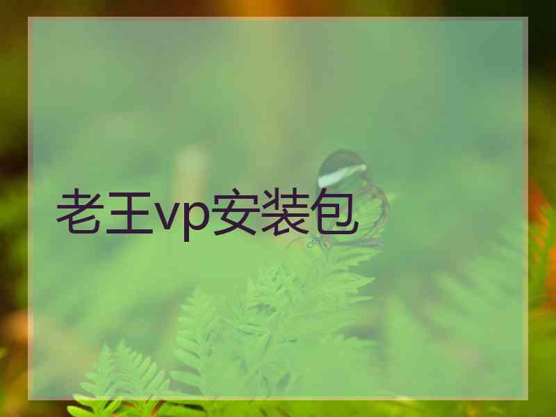 老王vp安装包