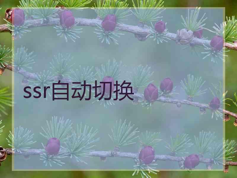 ssr自动切换