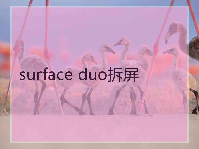 surface duo拆屏