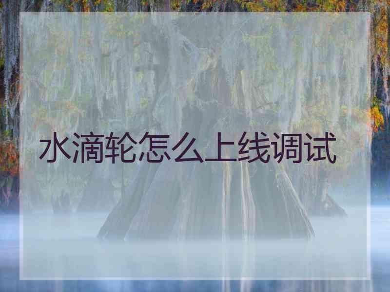 水滴轮怎么上线调试