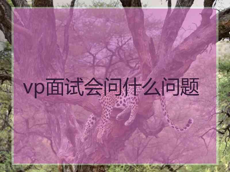 vp面试会问什么问题