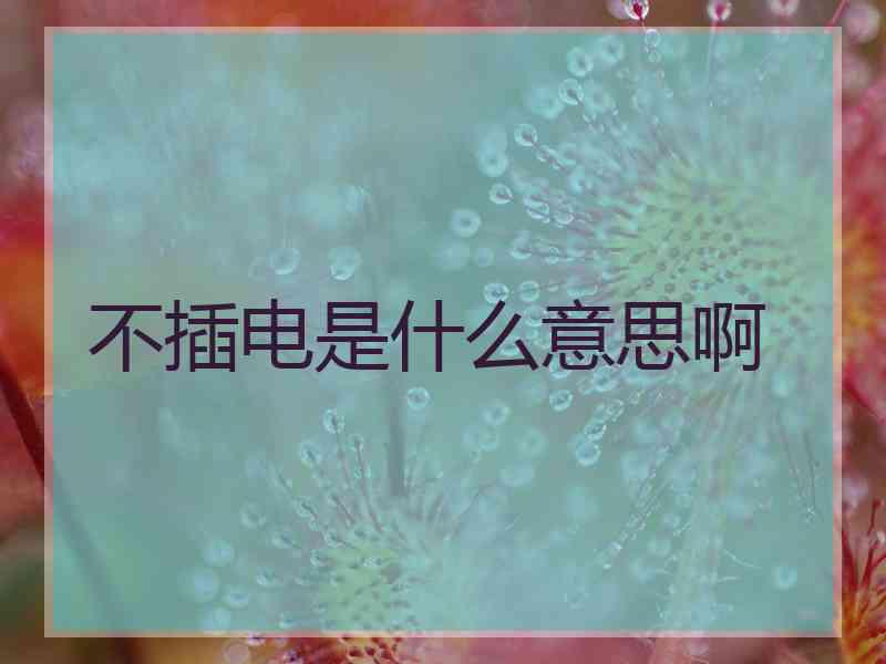 不插电是什么意思啊