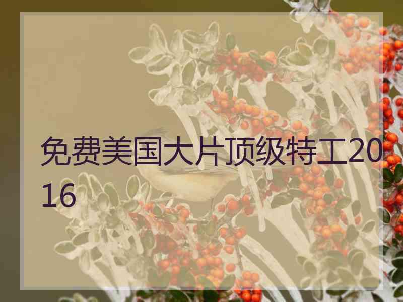 免费美国大片顶级特工2016