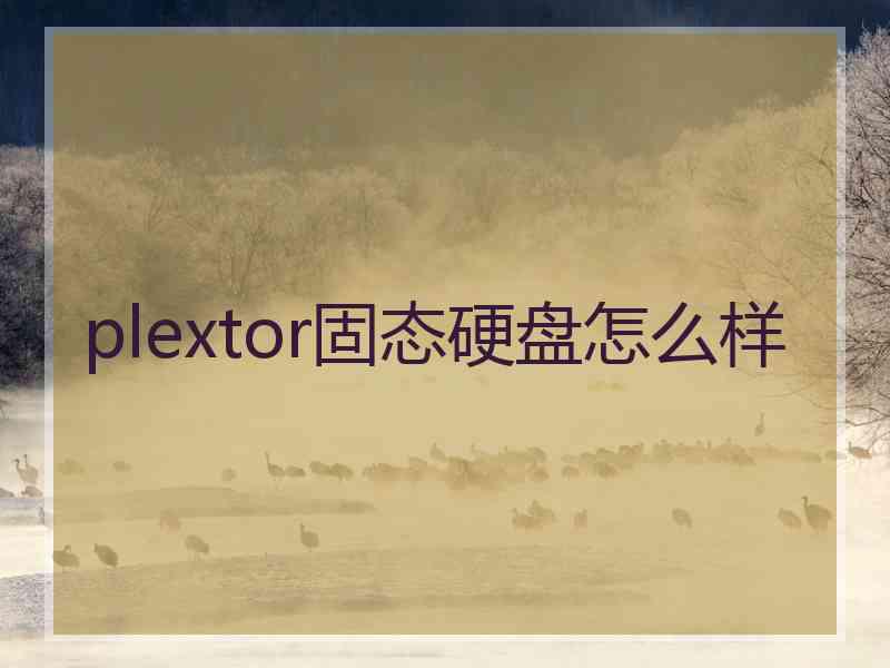 plextor固态硬盘怎么样