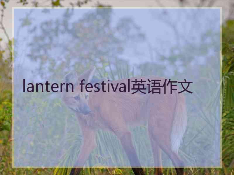 lantern festival英语作文