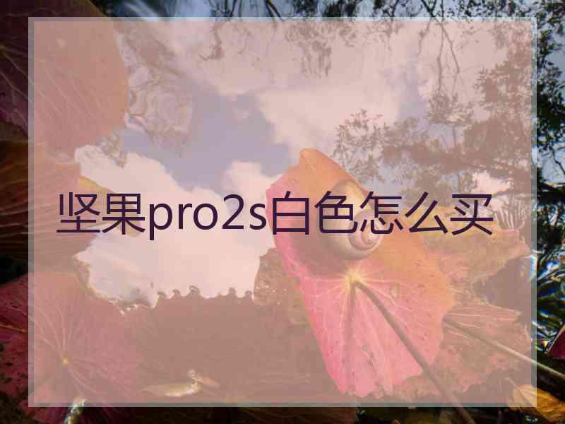 坚果pro2s白色怎么买