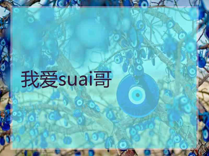 我爱suai哥