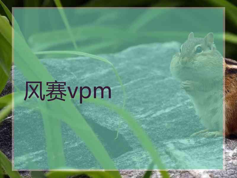 风赛vpm