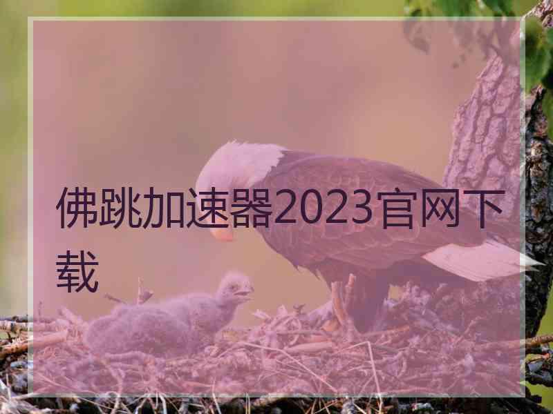 佛跳加速器2023官网下载