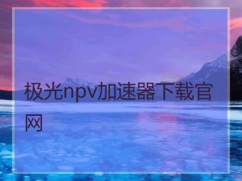 极光npv加速器下载官网