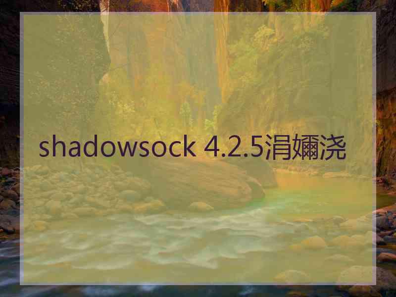 shadowsock 4.2.5涓嬭浇