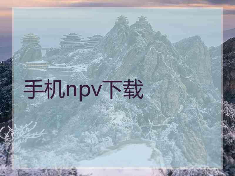 手机npv下载