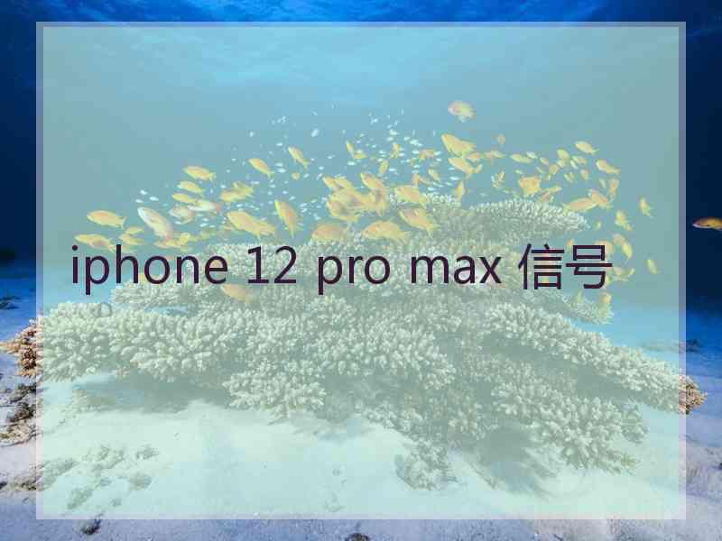 iphone 12 pro max 信号