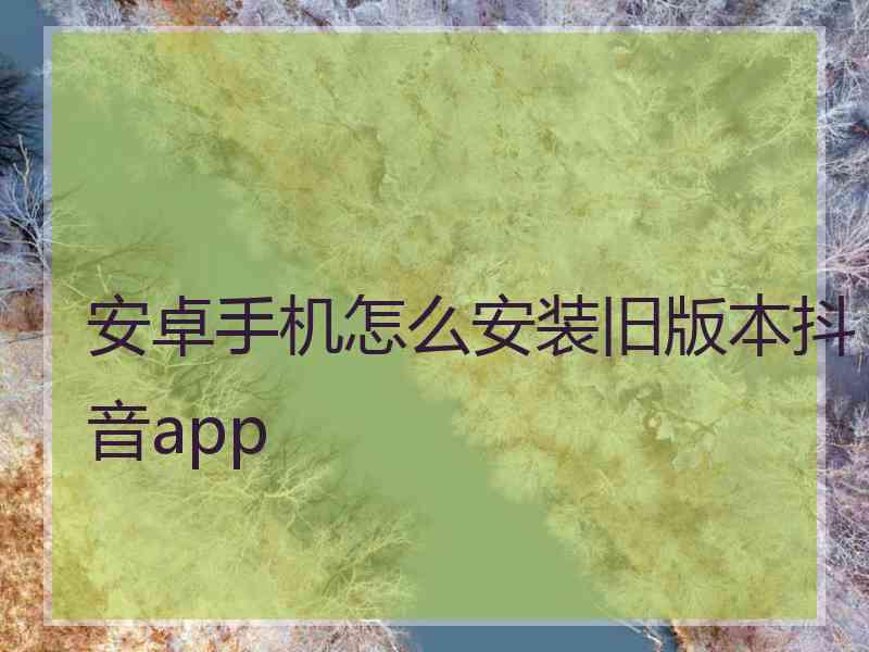 安卓手机怎么安装旧版本抖音app